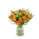 Bouquet of premium tulips